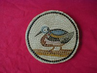 PATO